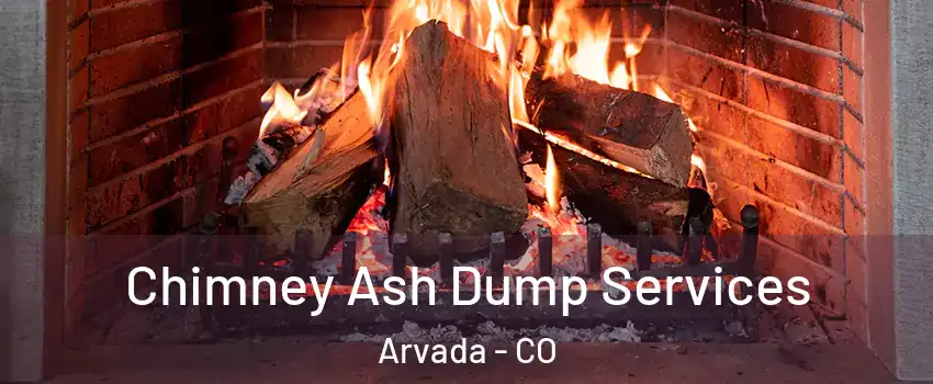 Chimney Ash Dump Services Arvada - CO