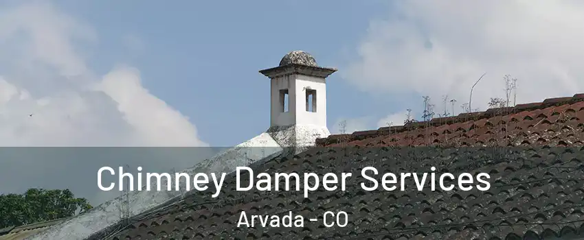 Chimney Damper Services Arvada - CO