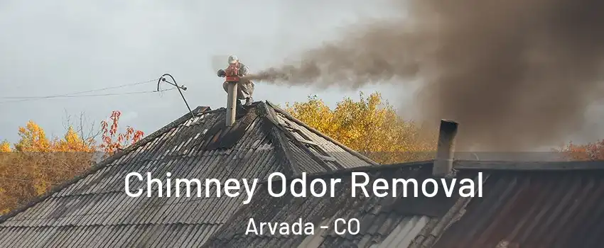 Chimney Odor Removal Arvada - CO