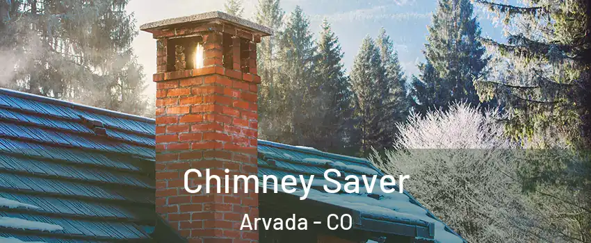Chimney Saver Arvada - CO