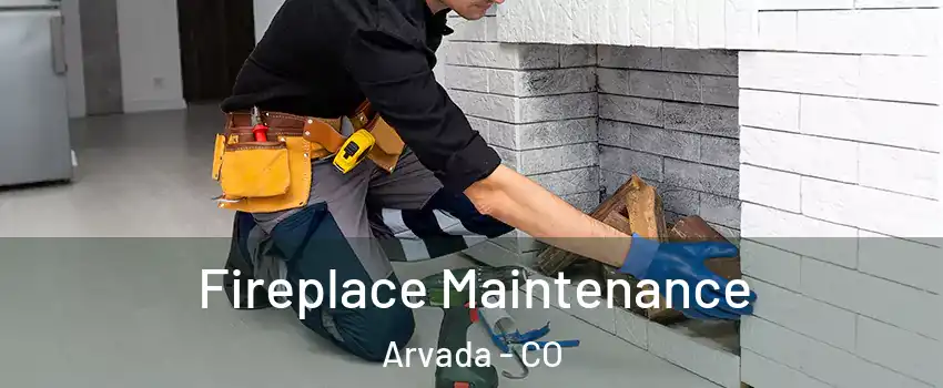 Fireplace Maintenance Arvada - CO