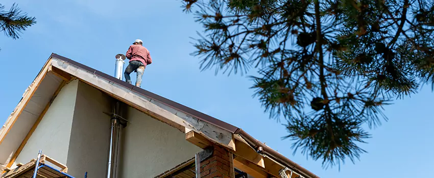 Birds Removal Contractors from Chimney in Arvada, CO