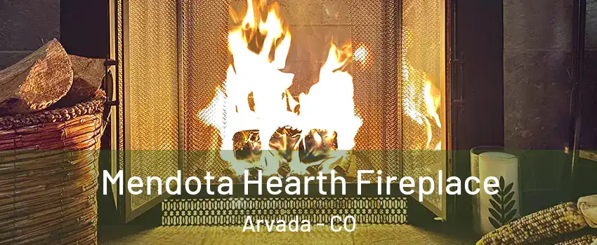 Mendota Hearth Fireplace Arvada - CO