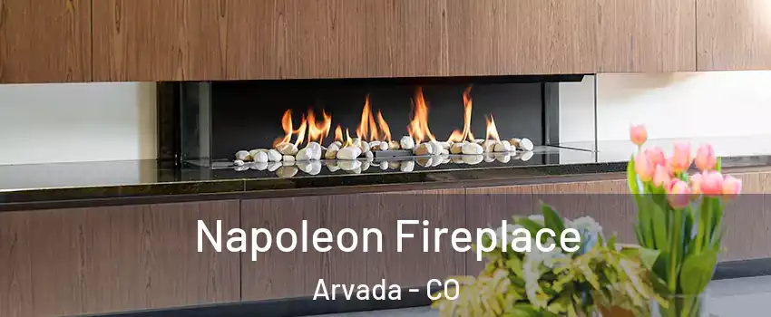 Napoleon Fireplace Arvada - CO